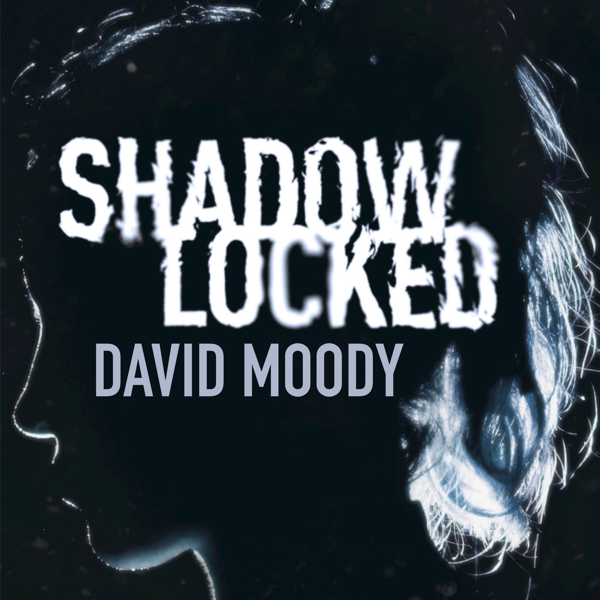 Shadowlocked audiobook by David Moody, narrated by Aubrey Parsons